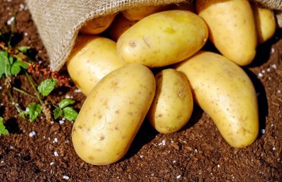 100 грамм картошки: пищевая ценность, калорийность, полезные свойства и способы приготовления