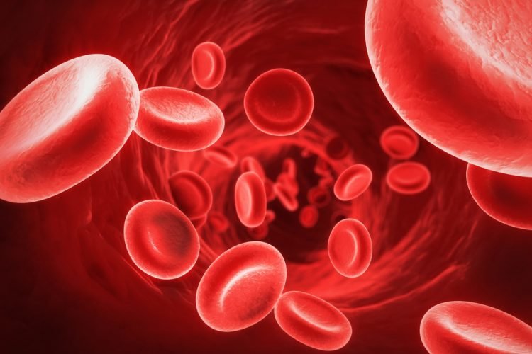 Красные клетки крови