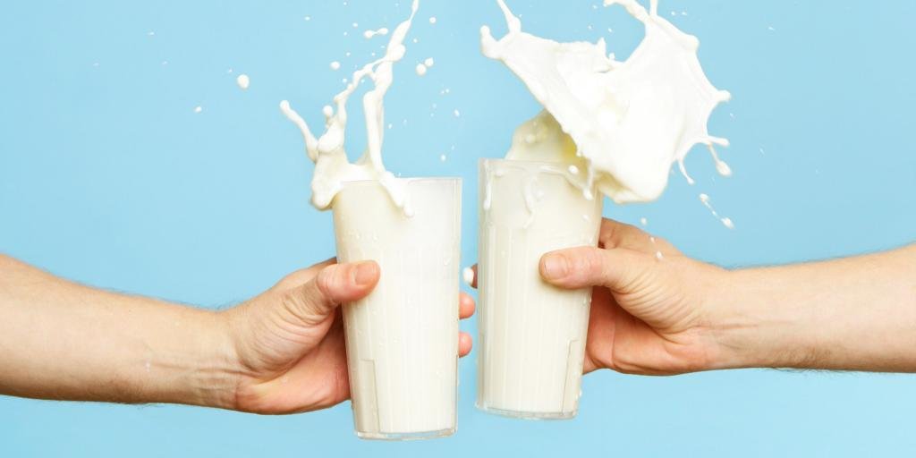 молоко взрослыми организмом не усваивается