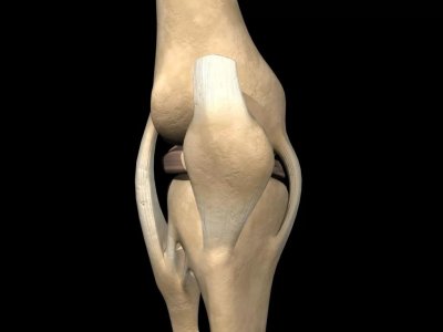 Растяжение связок коленного сустава: причины, симптомы и лечение