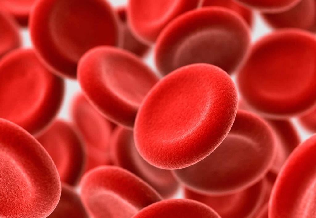 лейкоциты в крови ниже нормы
